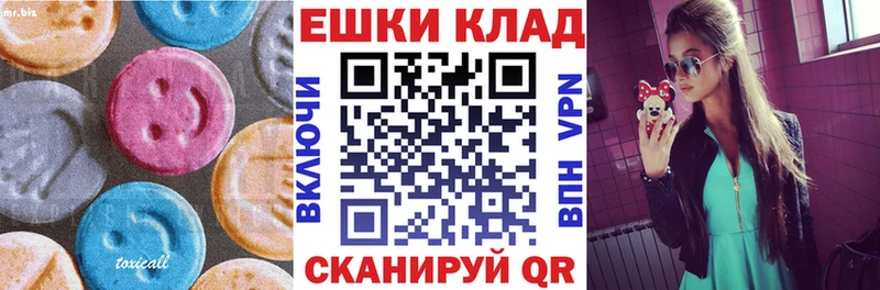 Купить закладки  Богородск  Экстази диски 