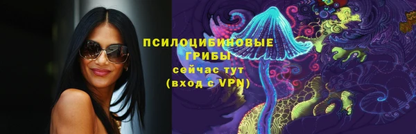 первитин Лабытнанги