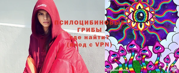 spice Лагань