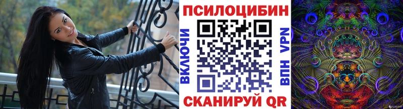 Купить где  Богородск  Псилоцибиновые грибы GOLDEN TEACHER 